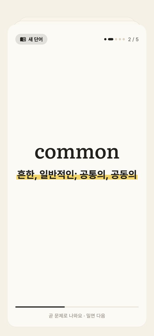 새 단어 플래시카드: common 흔한, 일반적인